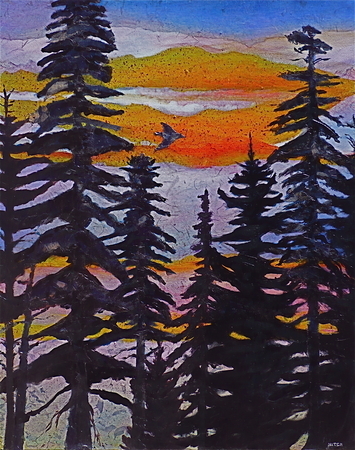 Amidst the Fir