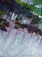 Kelp Forest 2