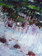 Kelp Forest 3